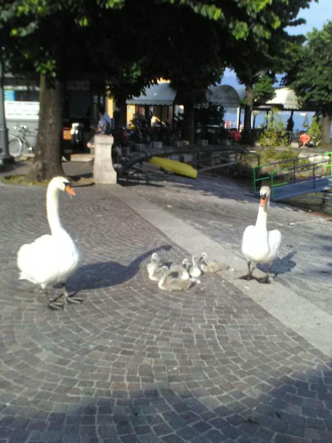 Il Guscio Hotell Baveno Exteriör bild